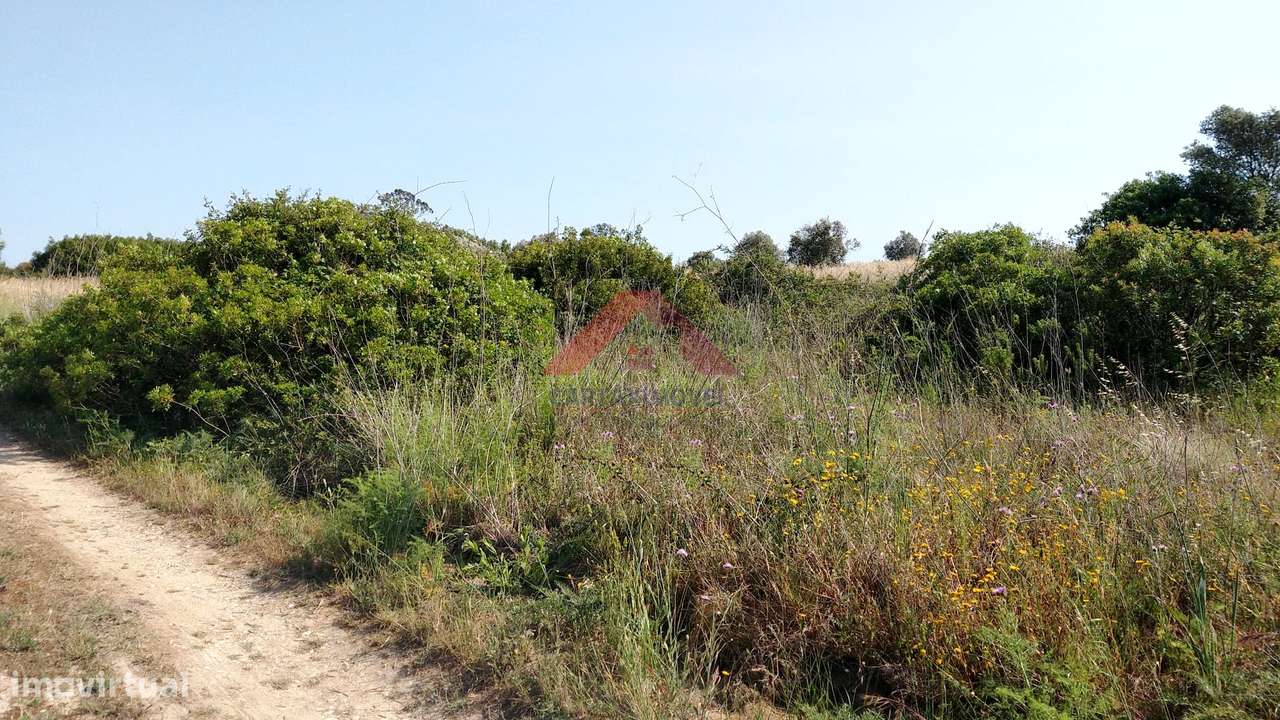 Terreno Rústico  Venda em Almoster,Santarém - Grande imagem: 3/3