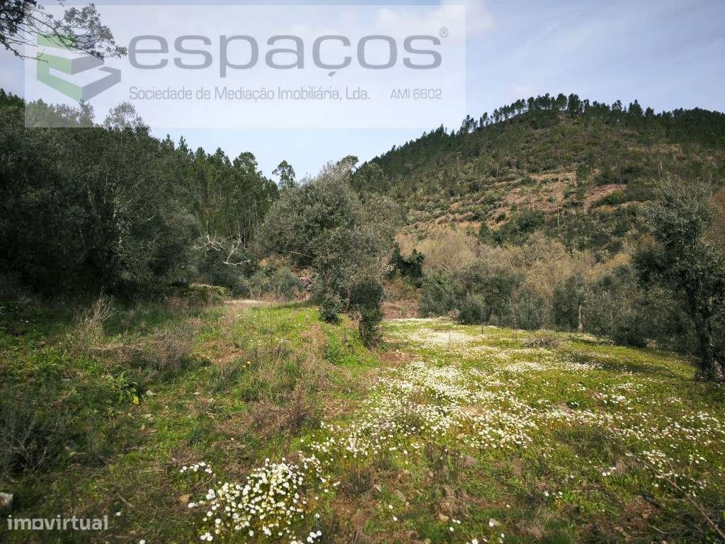 Terreno próximo da Ribeira do Alvito - Grande imagem: 5/6
