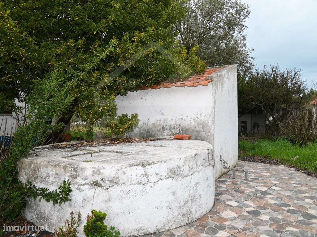 Quinta T4 nos Foros da Branca-32