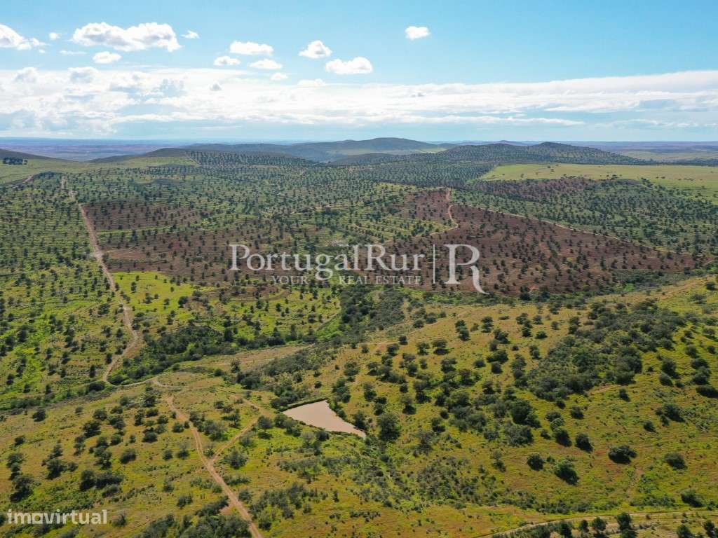 Herdades de Caça com 1300 Hectares, junto do rio Guadiana-7