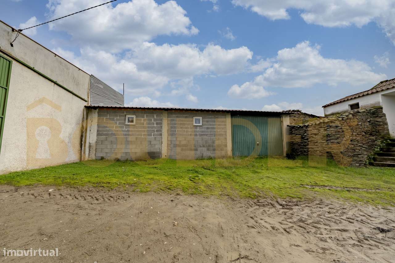 Quinta do Arieiro - Cedovim | Vila Nova de Foz Côa | Douro Superior-5