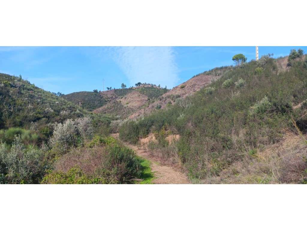 Terreno com 48.240 m2 - Junto a Praia Fluvial de Ortiga , Mação - Grande imagem: 4/15