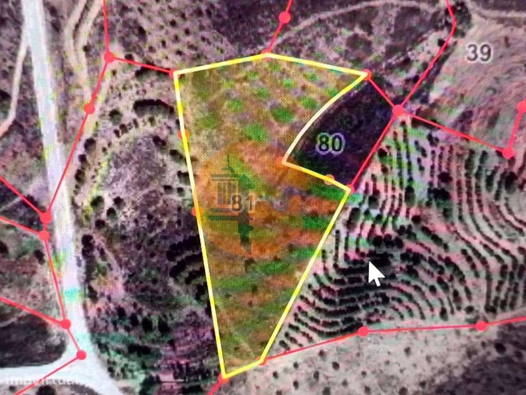 TERRENO COM 8.720 M2 - COM POÇO - PRÓXIMO A CORTE DO GAGO EM CASTRO... - Grande imagem: 2/28