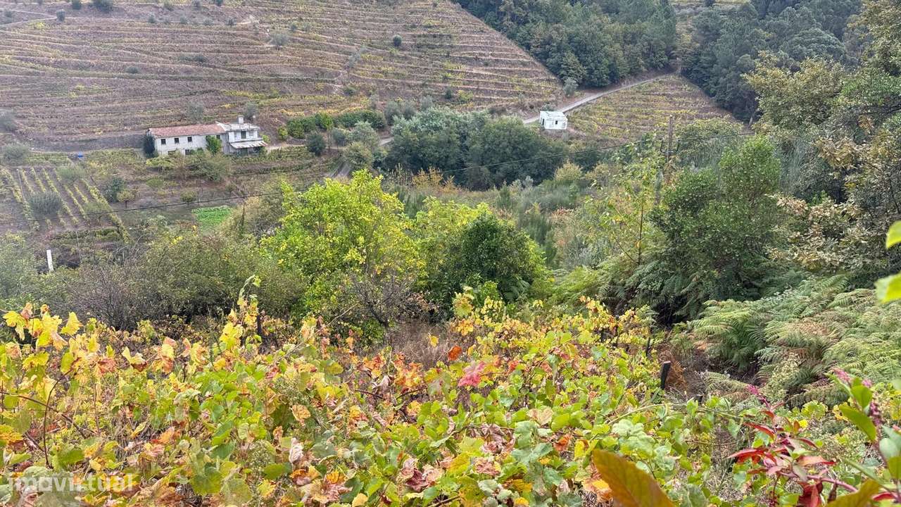 Quinta em Sedielos, Peso da Régua-6