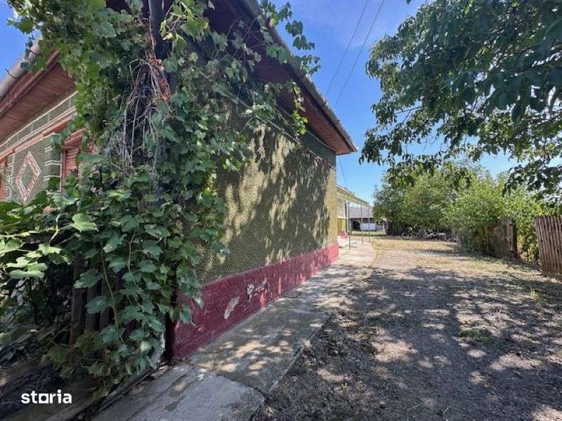 CASA CU TEREN 6060 MP | LOC.  BICACI | BIHOR - Imagine principală: 4/9