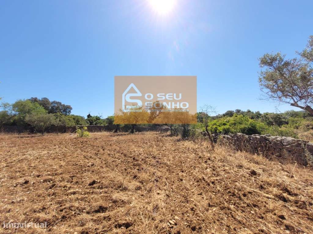 Terreno Rústico plano com acesso pedonal - 4.910 M² - Grande imagem: 3/12