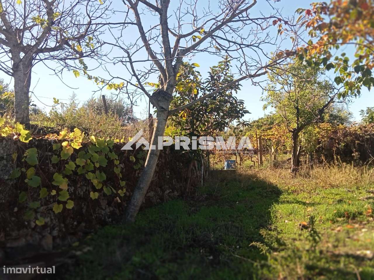 Quintinha para venda com construção rural para venda em Escalos de Bai-5