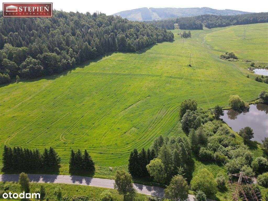 Działka widokowa w Rudawach Janowickich - Pełny obrazek: 4/15