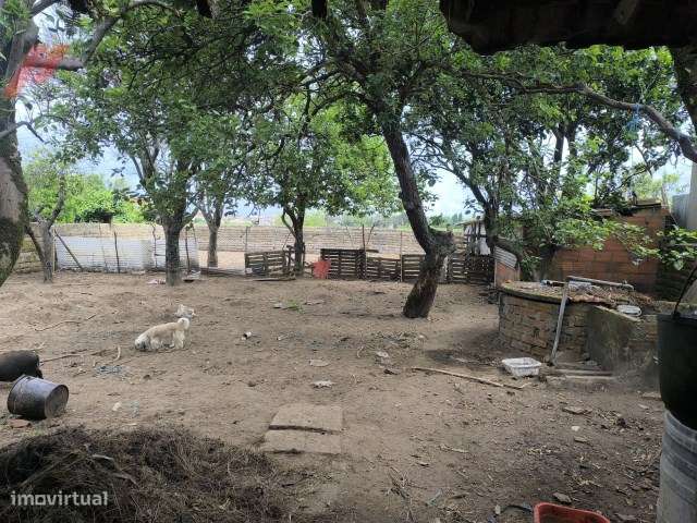 Casa Tipo Gandareza para Restauro | Zona de Vagos-7