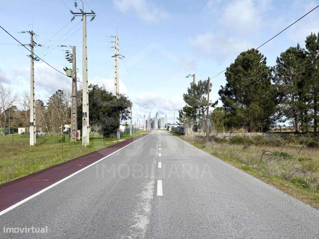 Oportunidade - 5 ha | Zona Industrial Salvaterra de Magos-12