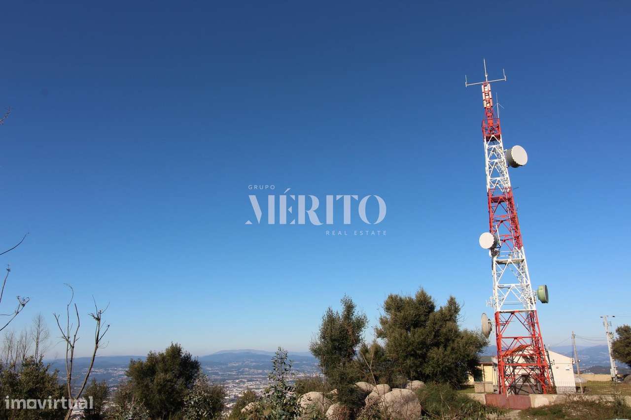 Bouça com 43839 m2 - Grande imagem: 5/5