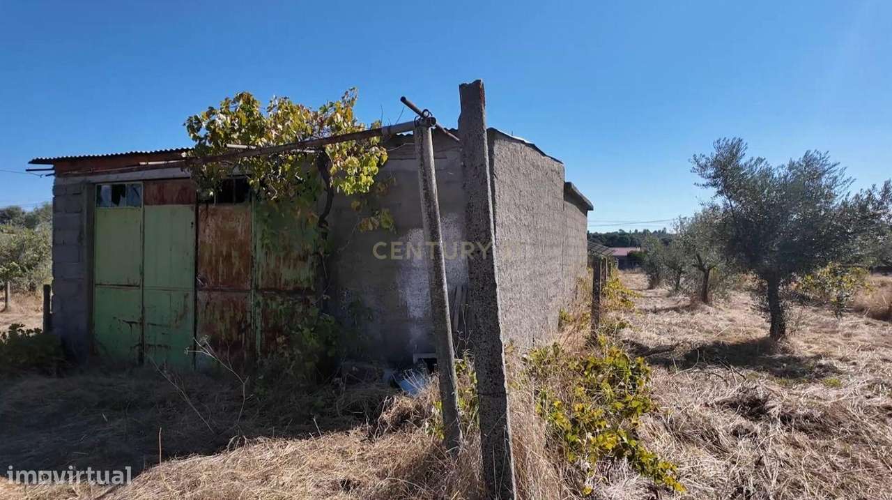Oportunidade de negócio! Terreno rústico 2,7ha Alcains, Castelo Branco - Grande imagem: 5/8