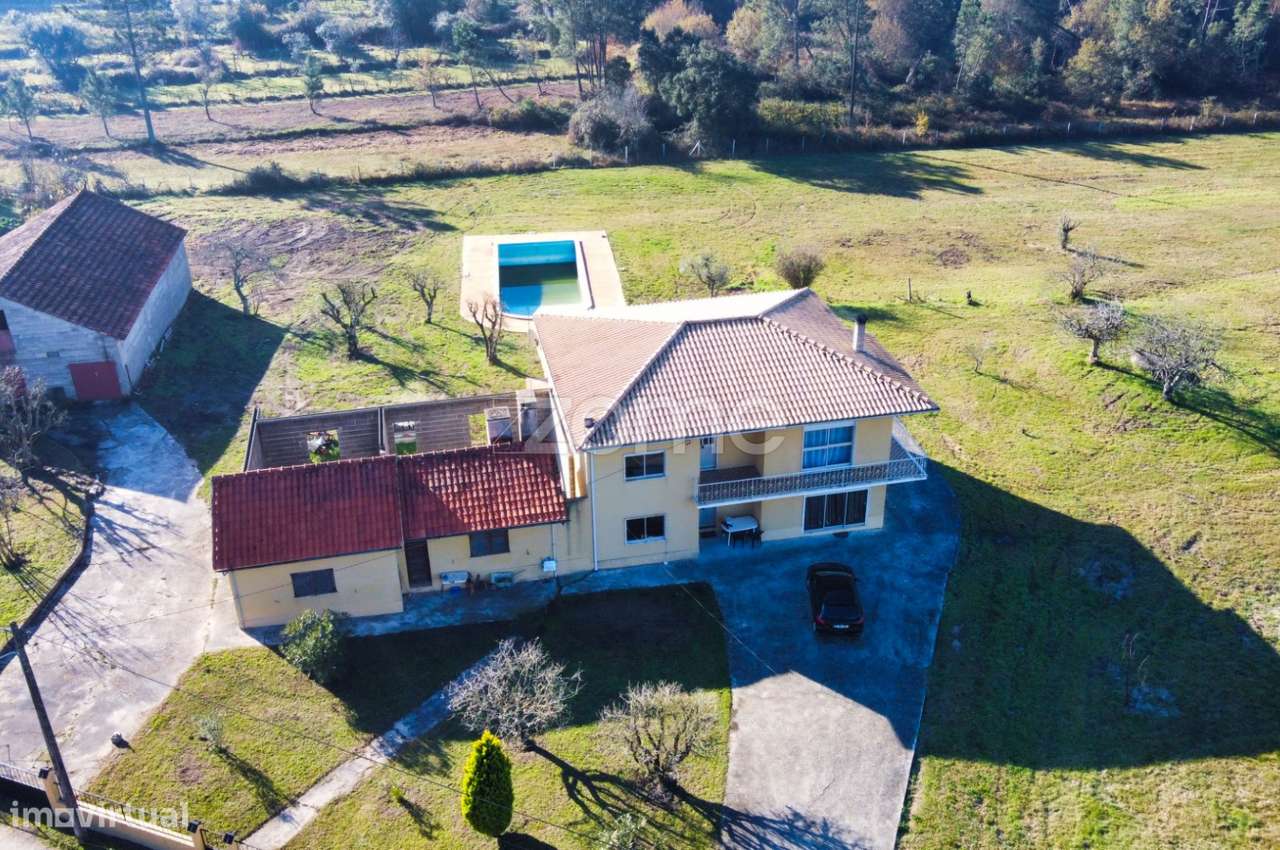 Quinta com 27000 m2 próxima de Pombal e Soure - Grande imagem: 2/21