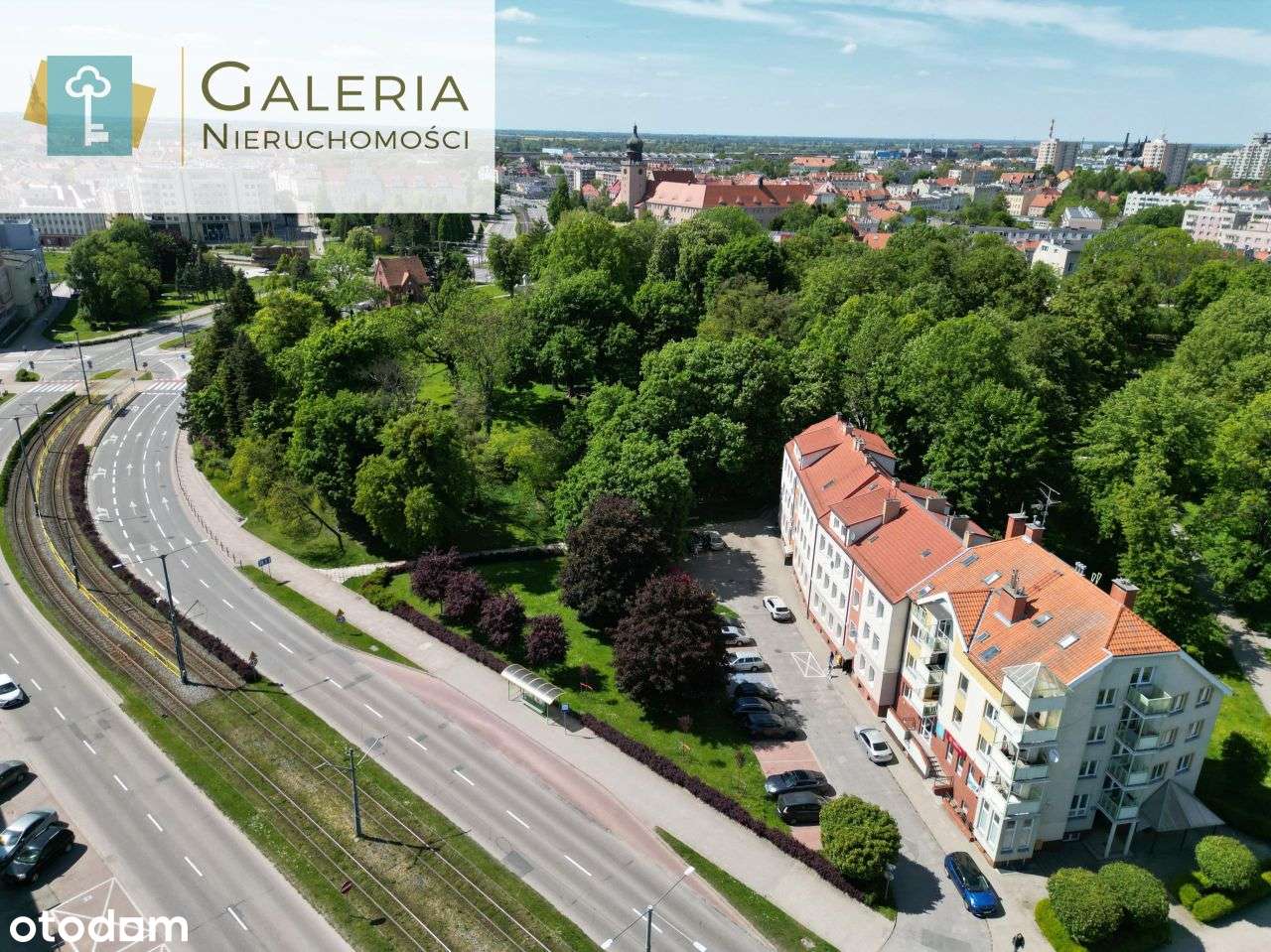 Lokal biurowo- usługowy w świetnej lokalizacji - Pełny obrazek: 3/19