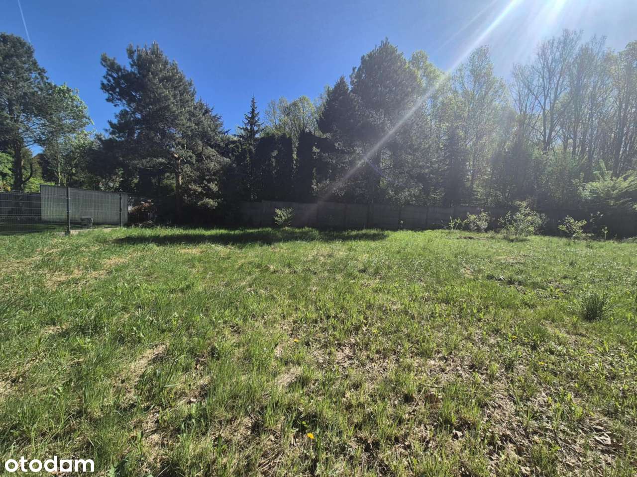 Działka w sąsiedztwie lasu - Pełny obrazek: 4/11