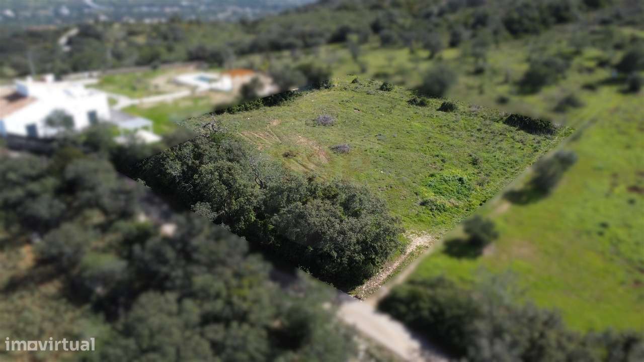 Terreno Rústico para Venda em Santa Bárbara de Nexe - Grande imagem: 3/19