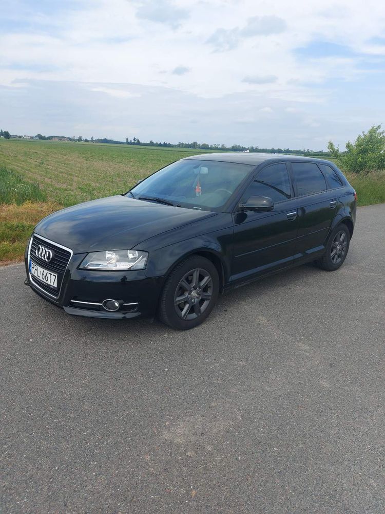 Audi A3 8P 1.6 TDI Ambition S tronic 2011