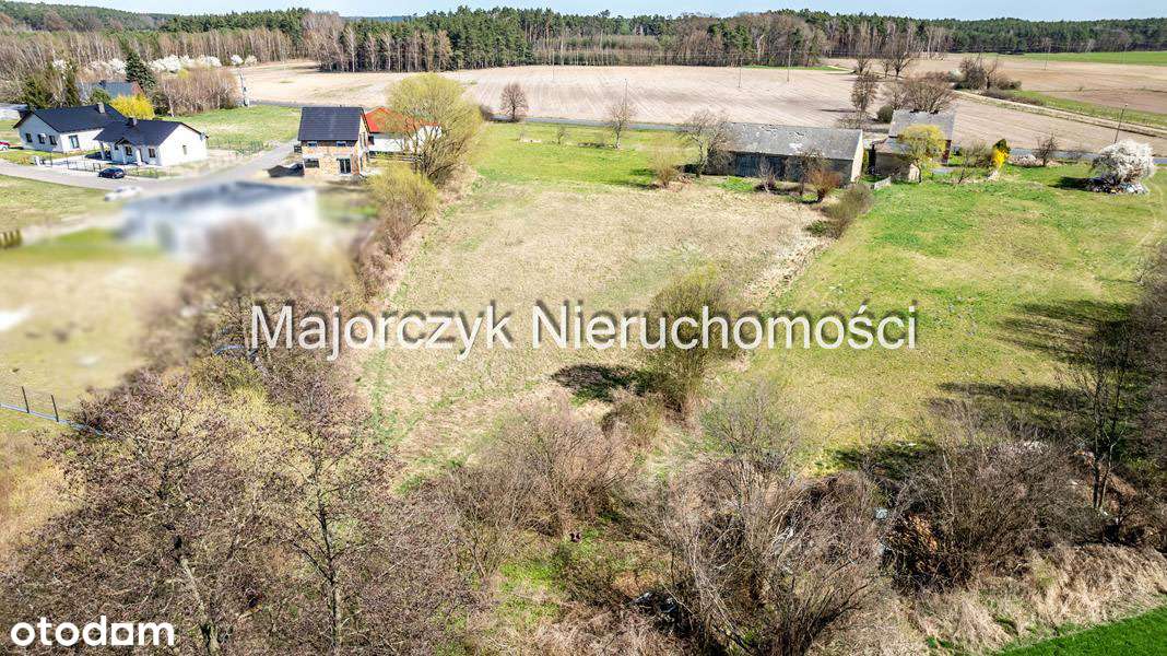 Działki budowlane w Sądzi - Pełny obrazek: 5/19
