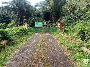 Terreno Rustico na Ribeira Grande