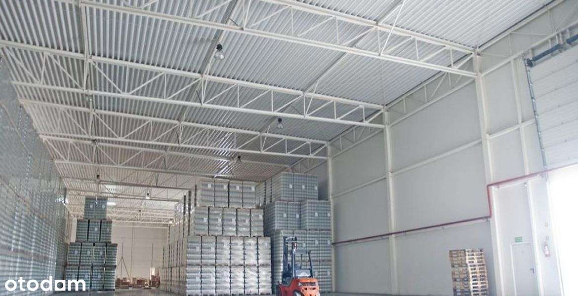 Nieruchomość Produkcyjno-Magazynowa Kórnik/Poznań - Pełny obrazek: 5/7