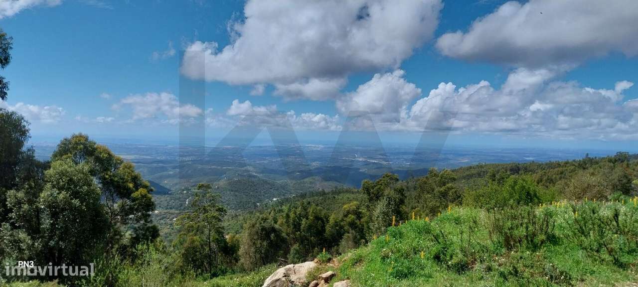 Terreno na Serra de Monchique 8.780 m2 - Grande imagem: 2/28