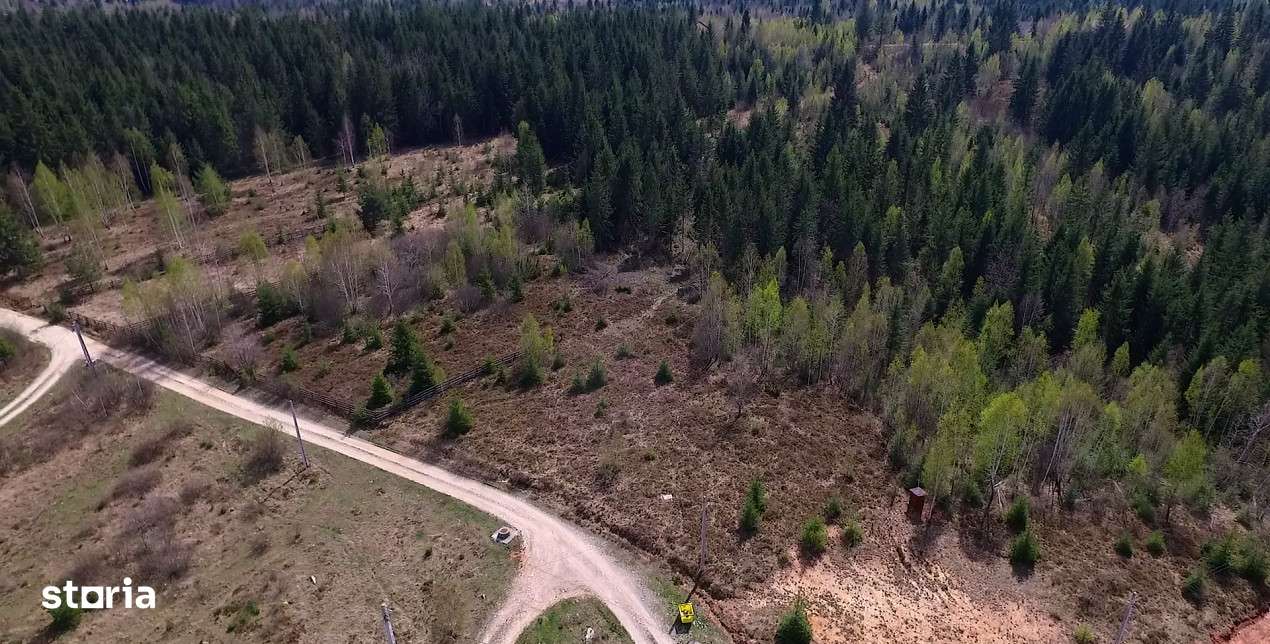 Teren intravilan 2,145mp Calatele Padure, Sat de  Vacanta-5