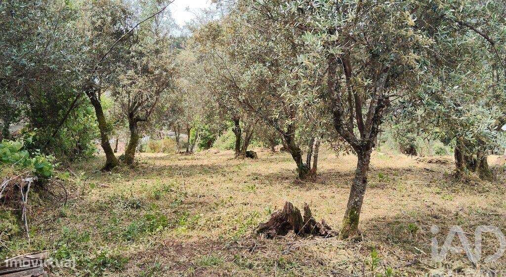 Casa de aldeia em Castanheira de Pêra e Coentral de 44,00 m2 - Grande imagem: 2/25