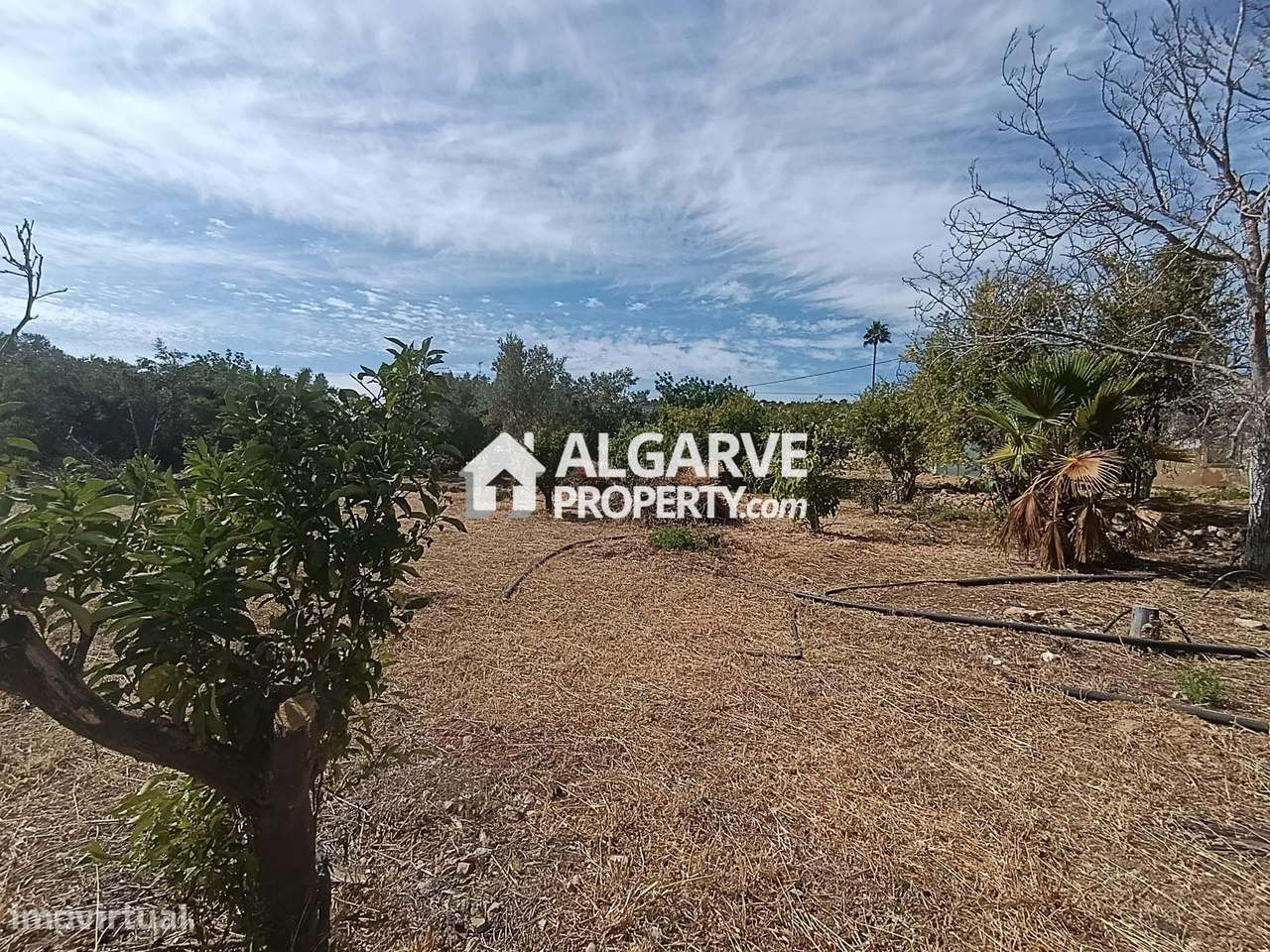 Loulé - Terreno para construção com 4449m2 para duas moradias - Grande imagem: 5/8