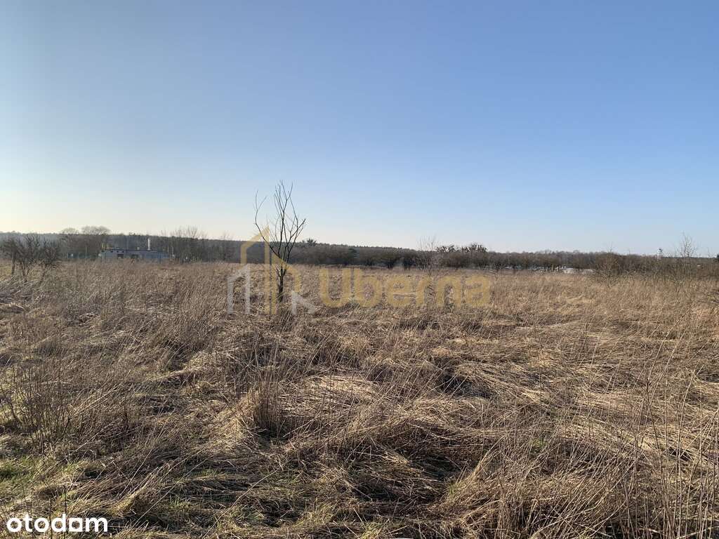 Działki inwestycyjne pod Goleniowem - Pełny obrazek: 5/10