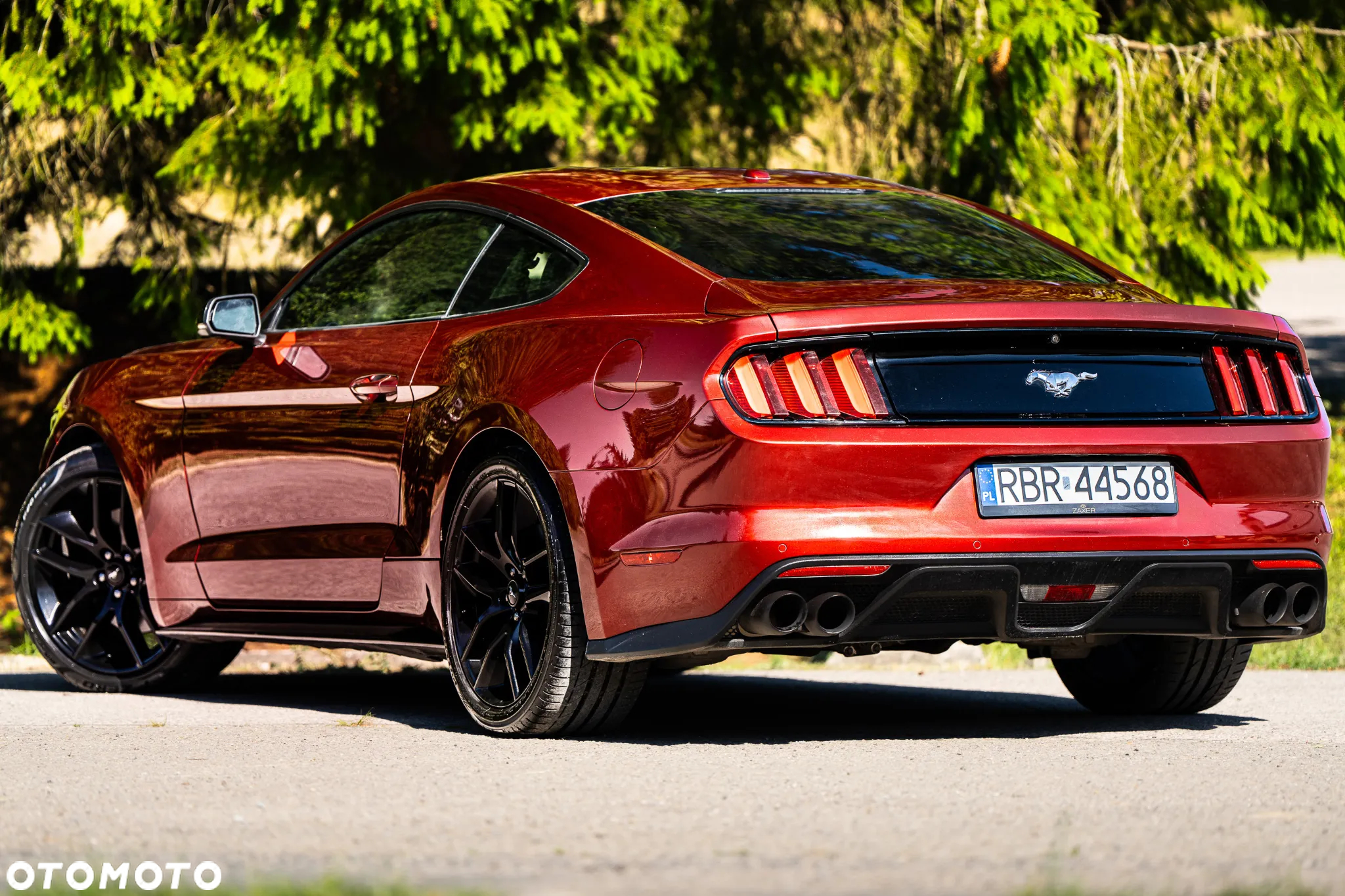 Ford Mustang - 19