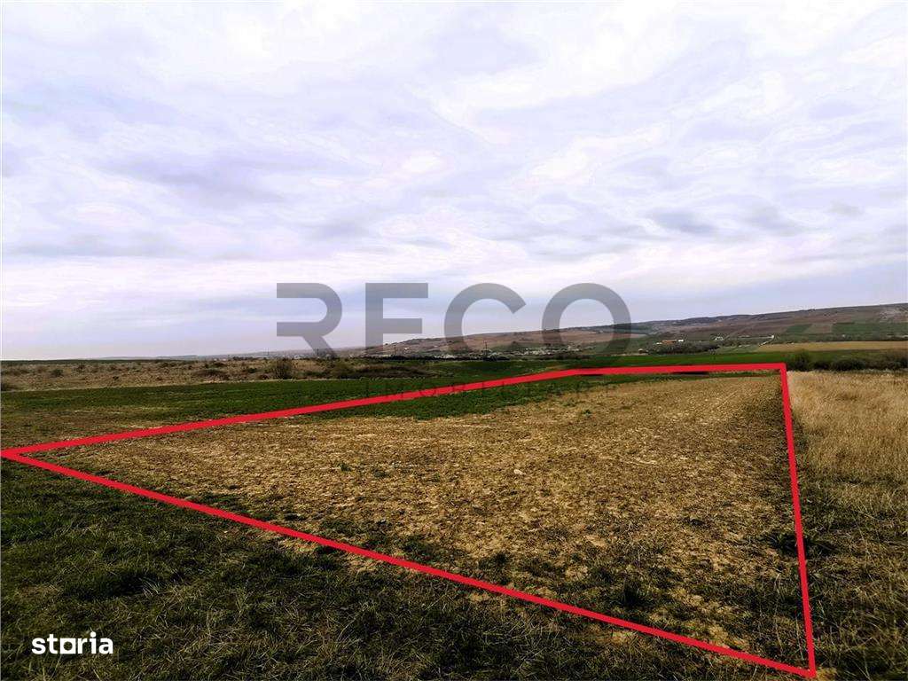 Teren mare extravilan in Uileacu de Munte - Imagine principală: 1/5
