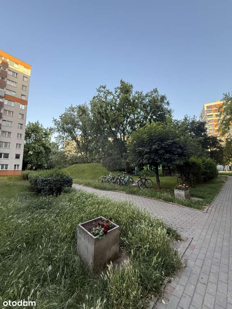 1 pokój z opcją na 2 , blisko Mariny Mokotów, blisko Domaniewskiej-11