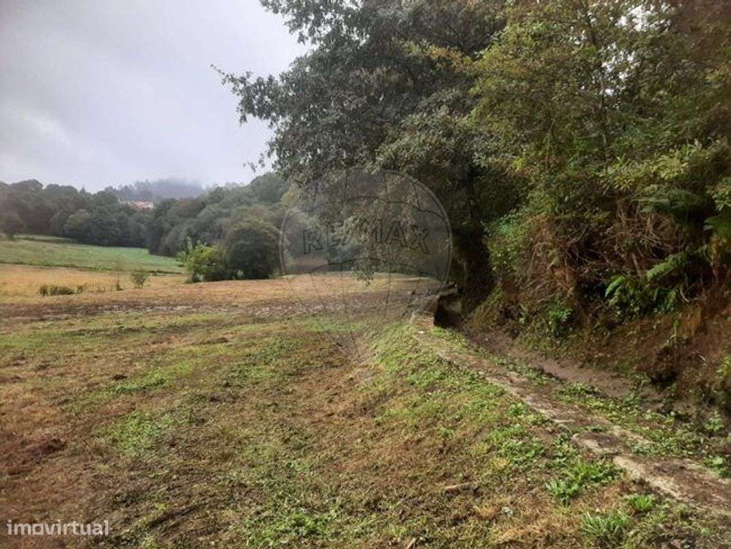 Terreno  para venda - Grande imagem: 4/4