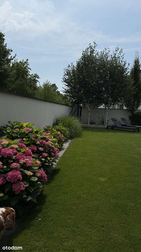 Nowoczesny dom w znakomitej lokalizacji w standardzie premium - Pełny obrazek: 4/6