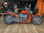 Harley-Davidson Softail V-Rod - 5