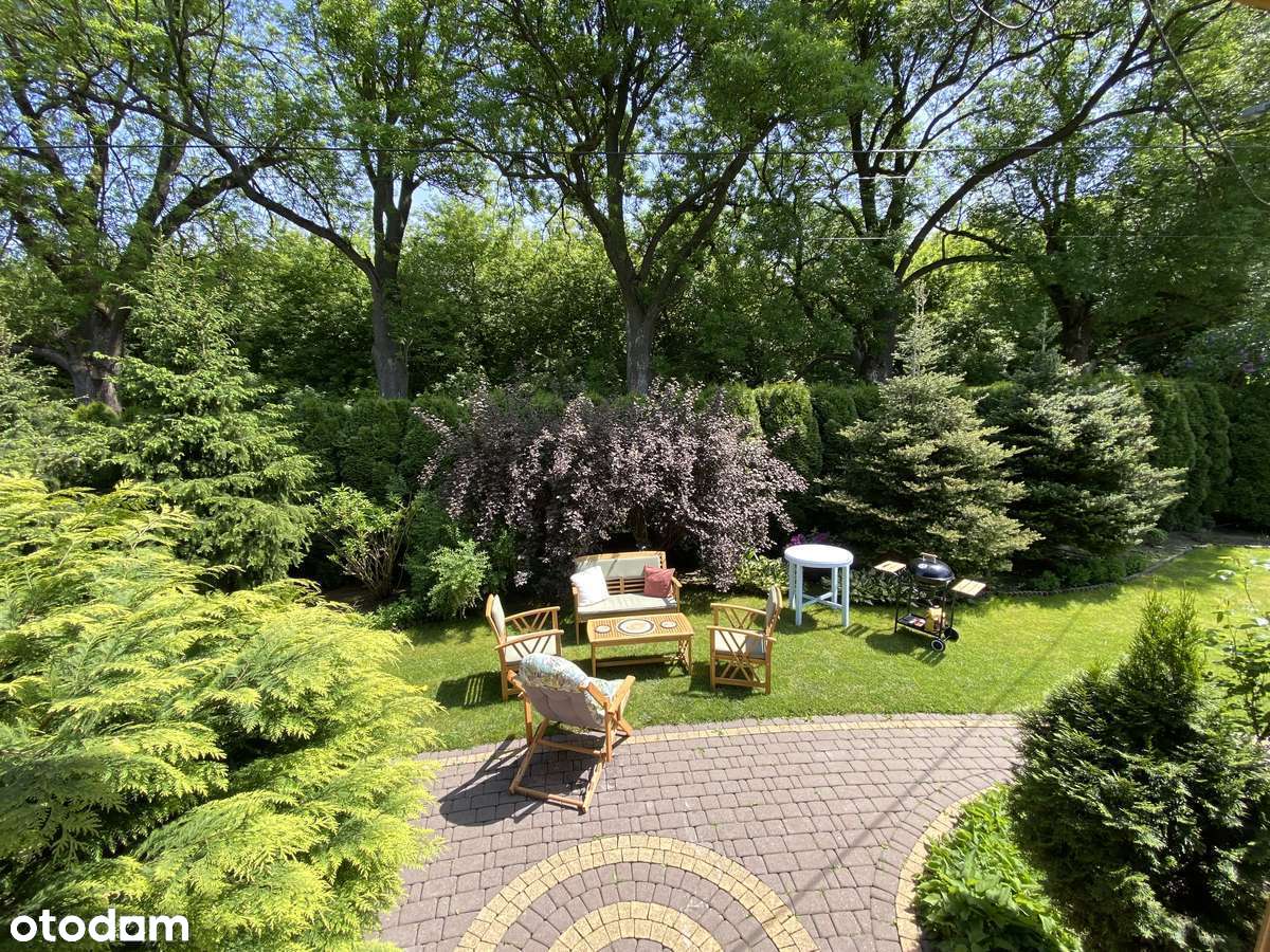 Dom przy parku w Młochowie Nowa cena!!!   - BEZPOŚREDNIO - Pełny obrazek: 2/20