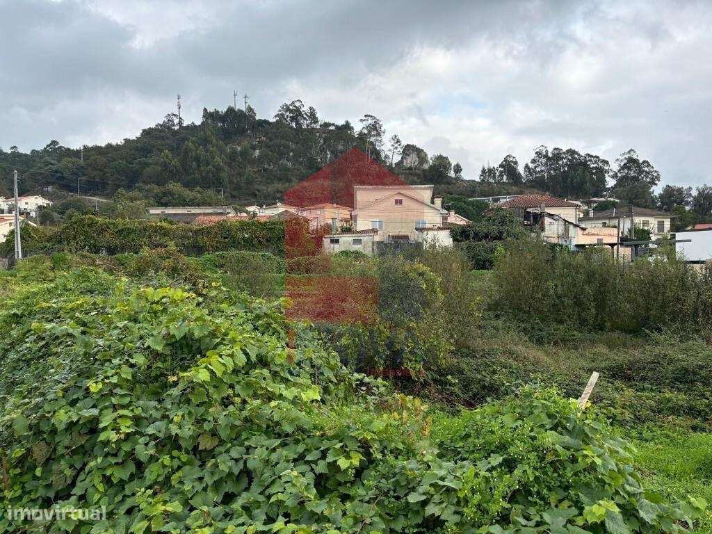 Lote Gaveto, Ferreiros - Grande imagem: 3/17