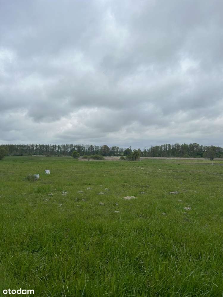 Piękne działki budowlane w Dzbanicach  Gmina Pokrzywnica Narew blisko-4