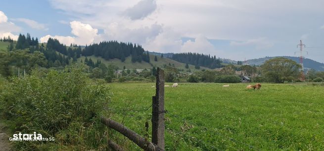 Teren Statiunea Dorna Candrenilor! Pensiuni-Casă de vacanță!-3