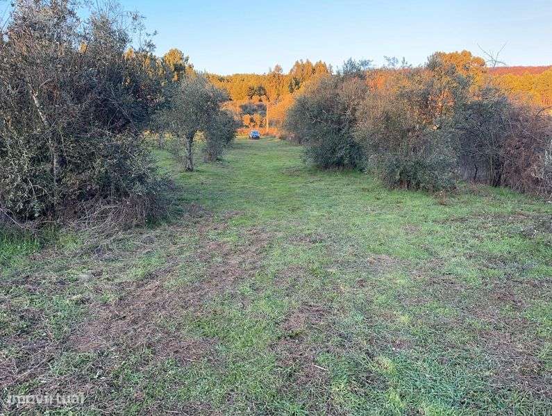 Terreno Rústico com Possibilidade de Construção | 1.200 m² - Grande imagem: 5/9