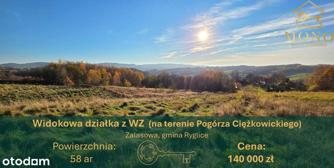 Widokowa działka 58 ar z WZ na 2 domy-0