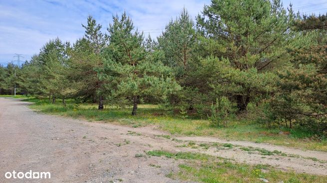 Działka budowlana 404 m² w Fordonie