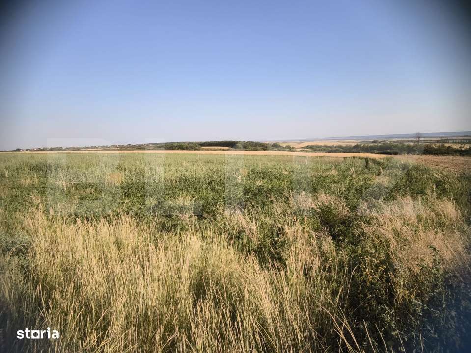 Teren 30.350 mp (600 mp intravilan) – ideal investitie, Carcea Metro - Imagine principală: 4/4