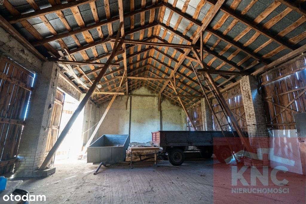 Działka 1,73 ha z zabudowaniami - Pełny obrazek: 3/11