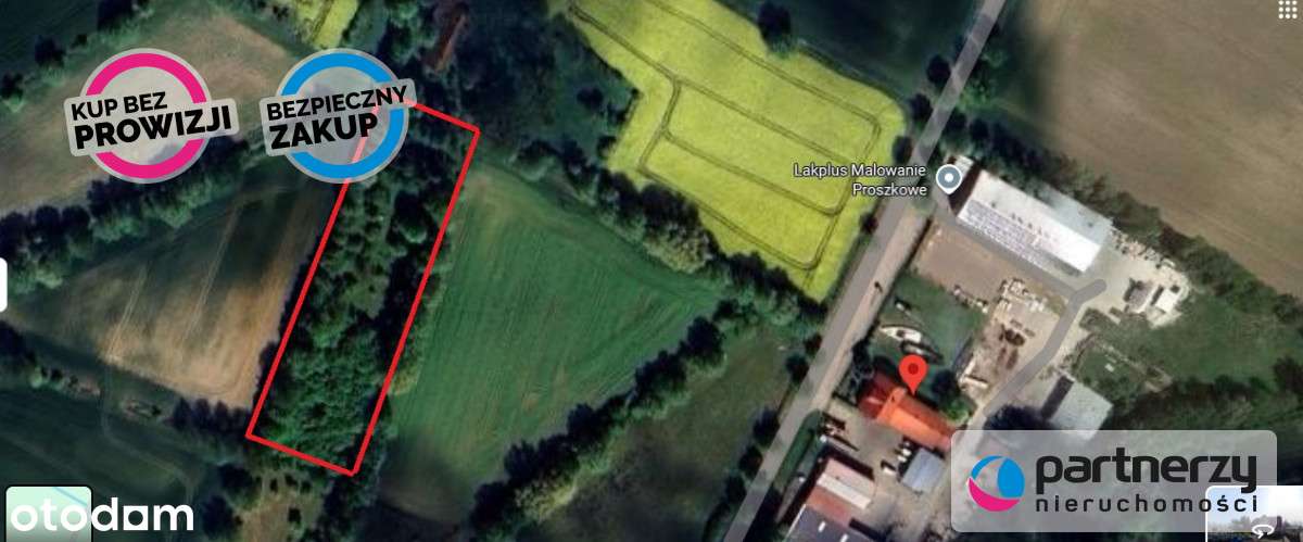 Działka budowlana z sadem i pasieką - Pełny obrazek: 4/18