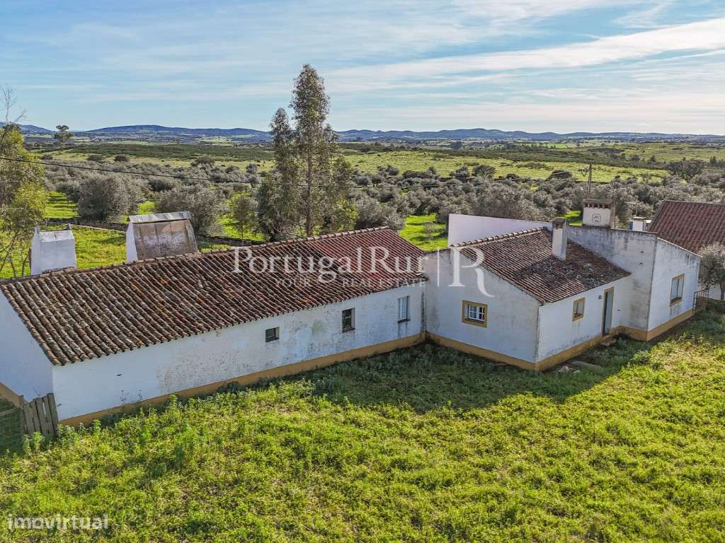 Monte com 4.400 m2 de terreno e habitação T3 - Grande imagem: 3/12