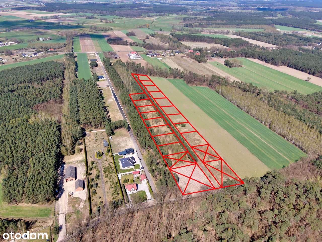 Działki budowlane pod lasem – Młynisko gm. Koźminek - Pełny obrazek: 2/17