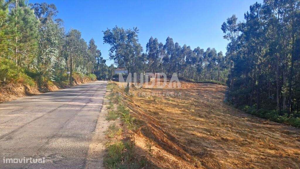 Terreno Rústico com Viabilidade de Construção em São Martinho da Ganda - Grande imagem: 5/11