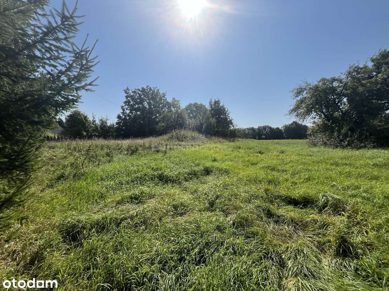 Działka na sprzedaż, Włodarka - Pełny obrazek: 4/9