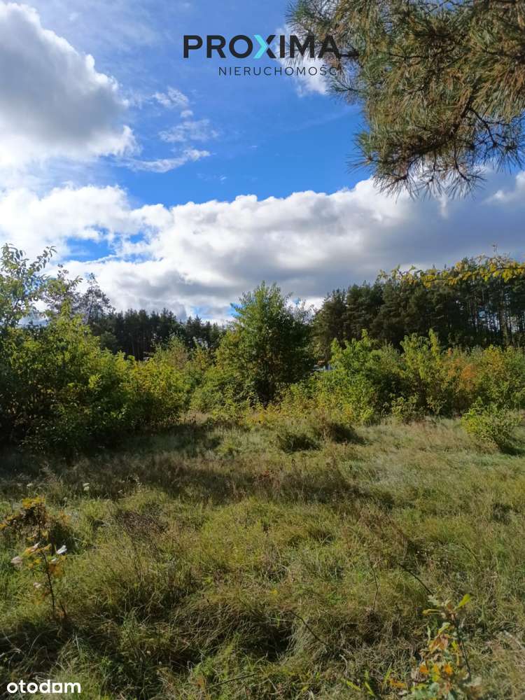 Działka Inwestycyjna – Dąbrówka, Gmina Luzino, Pow-13